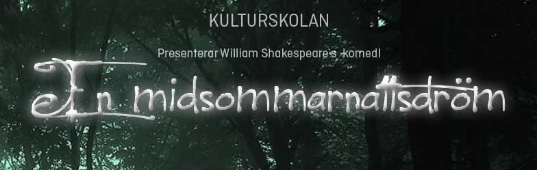 FB Misommarnattsdream2016